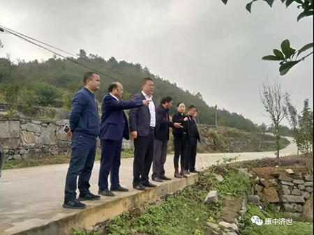 簡訊：云創公司領導考察黔西中藥材種植基地