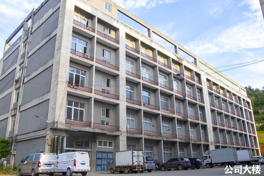 副州長王建華一行到我公司視察指導工作